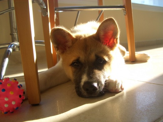 Nora tomando el sol